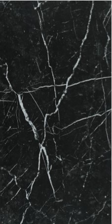 MARMO BLACK GLORIA