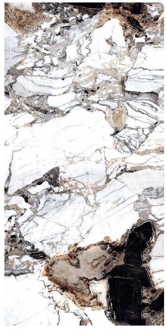 PANTHEON EVOLUTION ALBUM